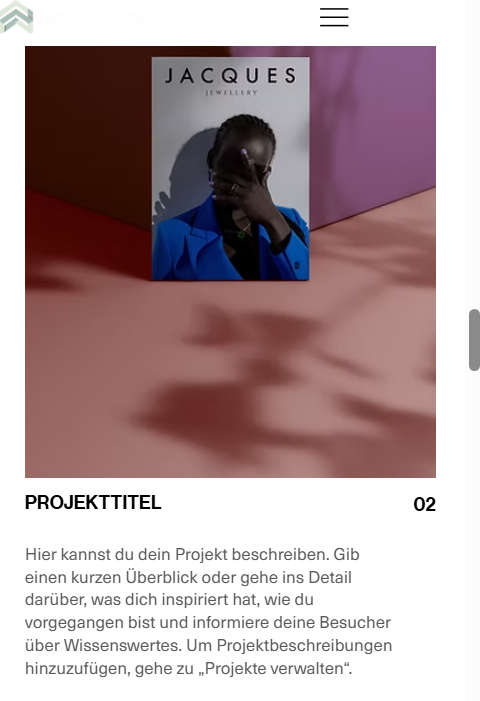 Professionelle Handwerker-Website – Modernes Webdesign | VISION TK
